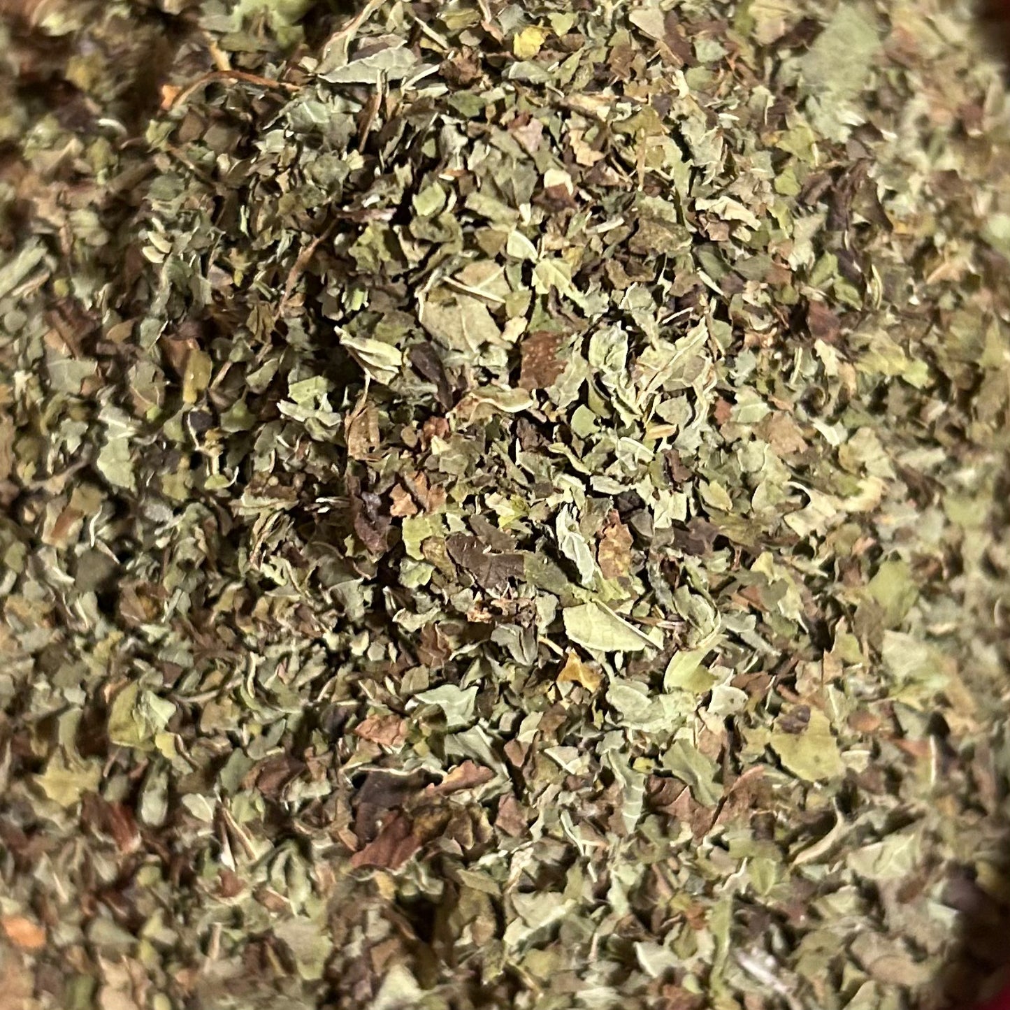 Lemon Balm - Organic