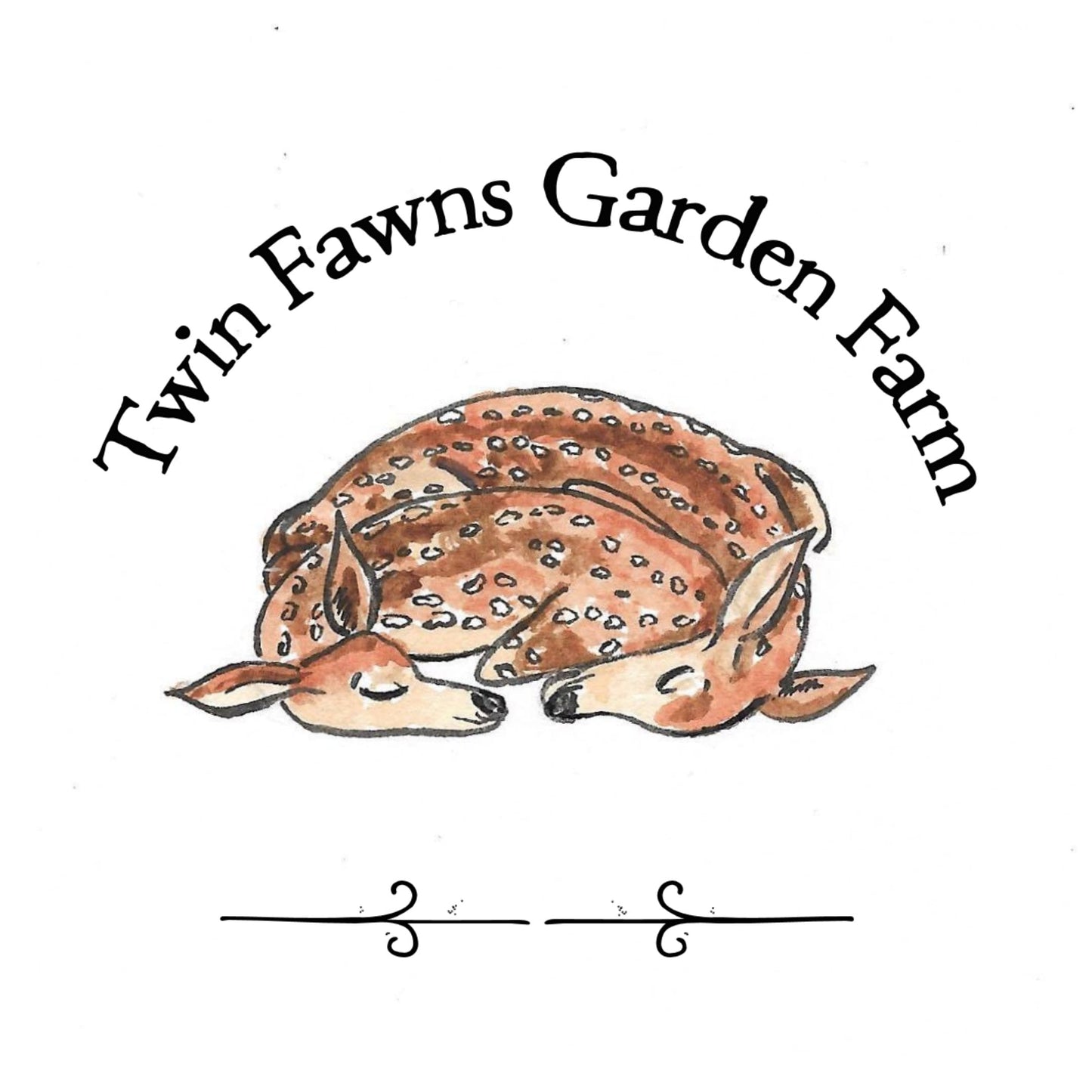 Fertility Support After Miscarriage - Herbal Tea